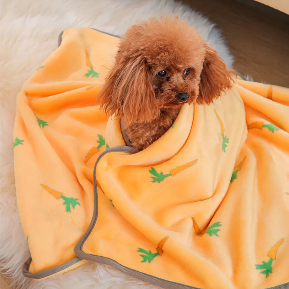 Madden Spring Pet Blanket