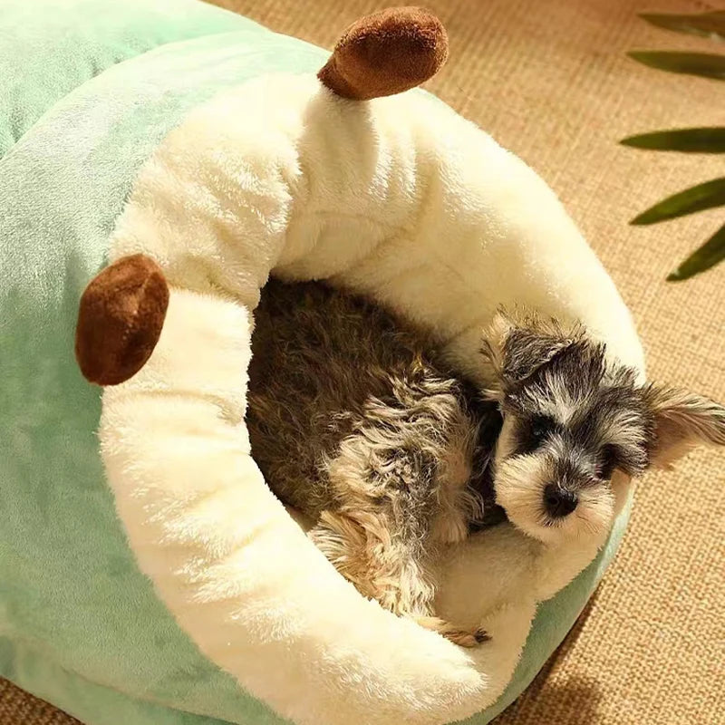 Madden House Slipper Bed