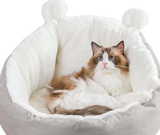 Kitty Bed